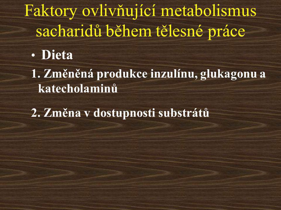 Faktory ovlivňující metabolismus sacharidů během tělesné práce