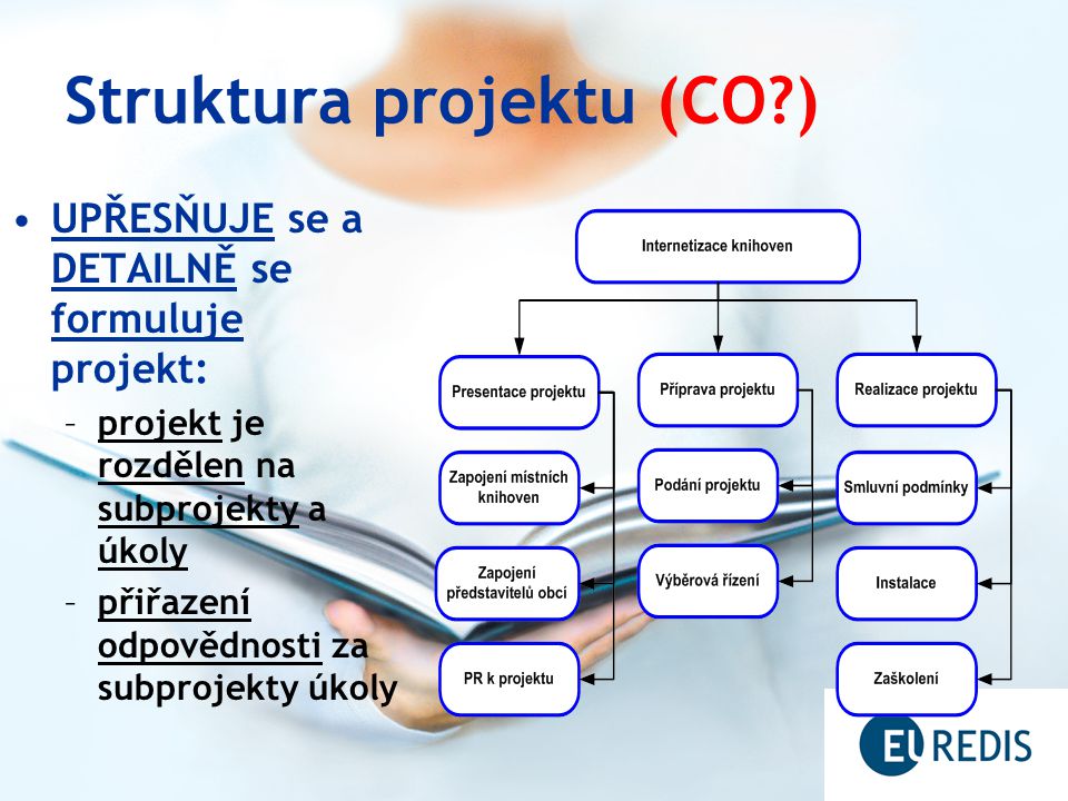 Struktura projektu (CO )