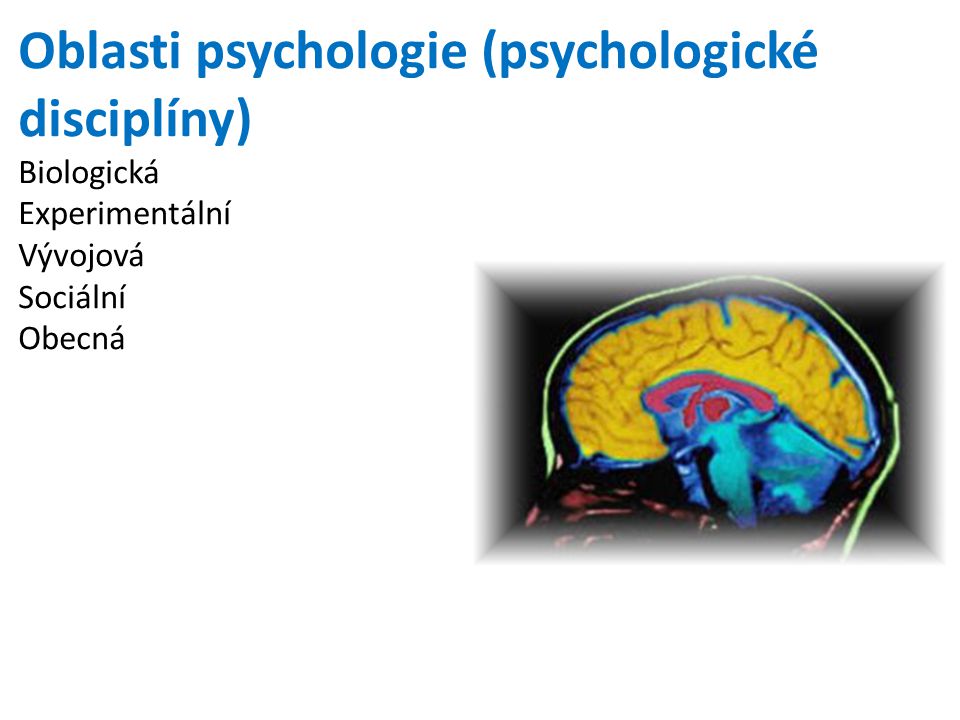 Oblasti psychologie (psychologické disciplíny)