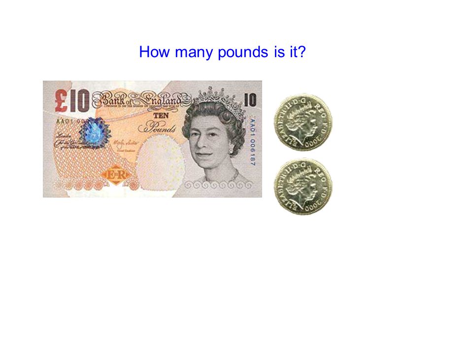 How many pounds is it
