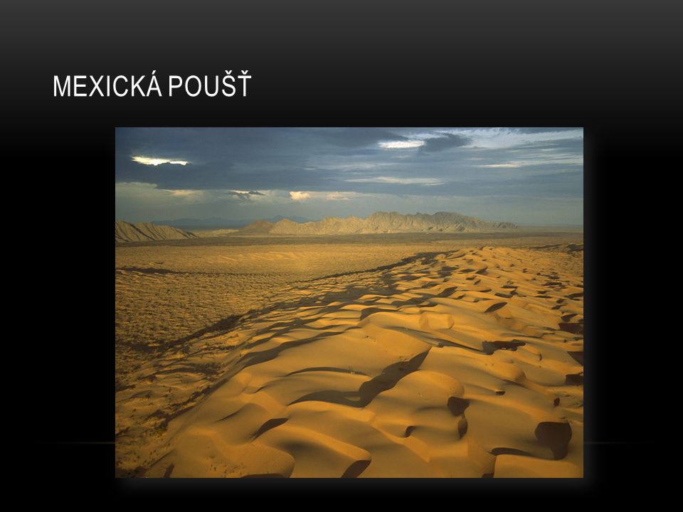 Mexická poušť