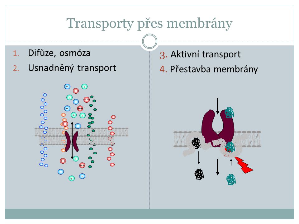 Transporty přes membrány