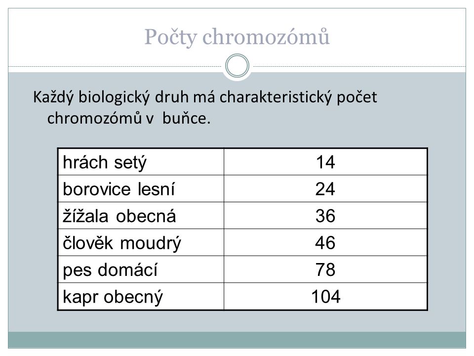 Počty chromozómů hrách setý 14 borovice lesní 24 žížala obecná 36