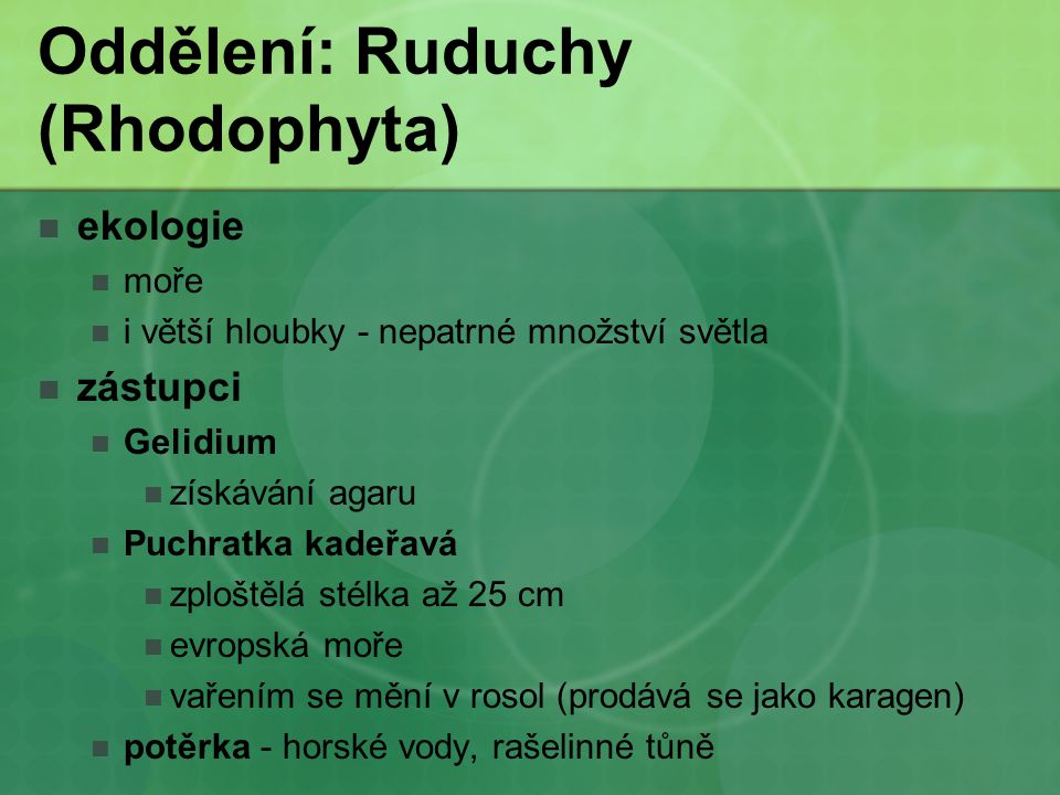 Oddělení: Ruduchy (Rhodophyta)