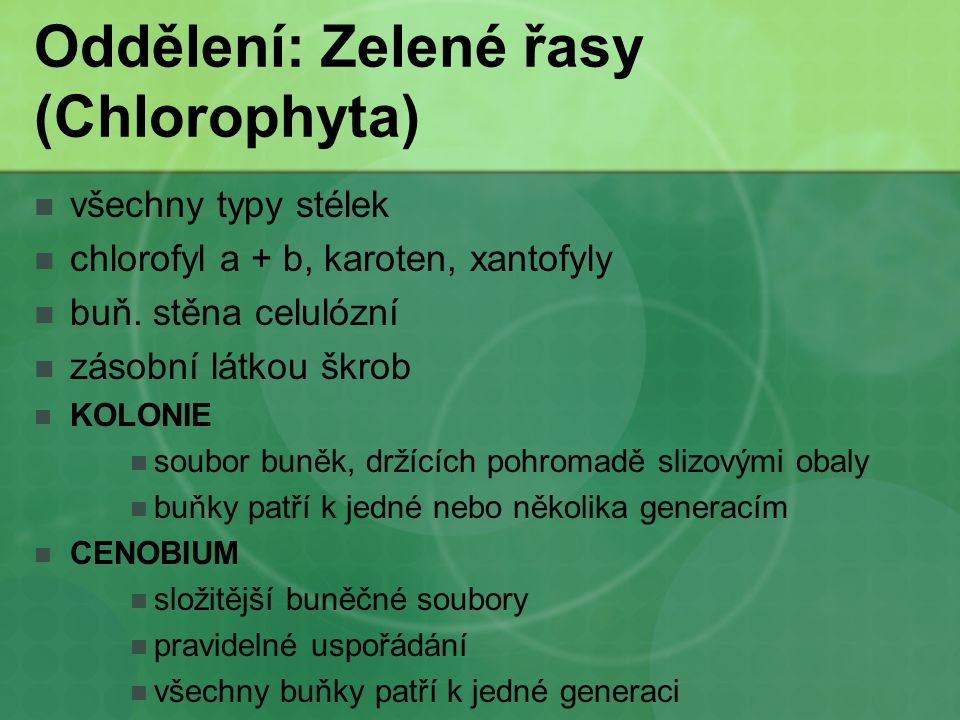 Oddělení: Zelené řasy (Chlorophyta)