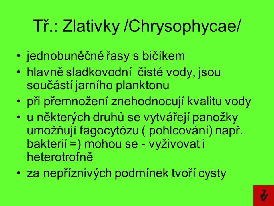 Tř.: Zlativky /Chrysophycae/