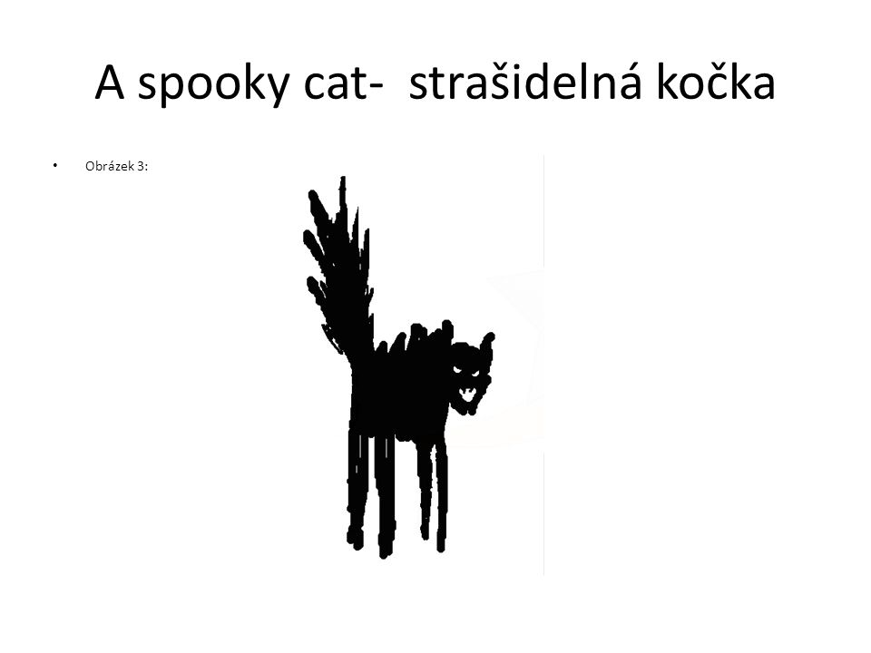 A spooky cat- strašidelná kočka