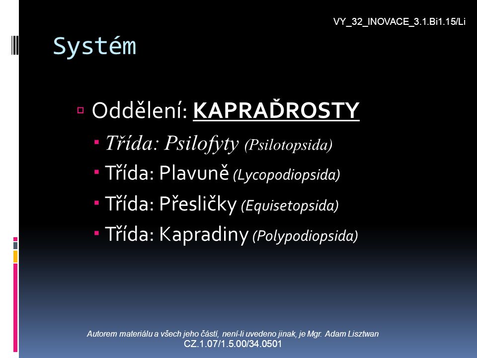 Systém Oddělení: KAPRAĎROSTY Třída: Psilofyty (Psilotopsida)