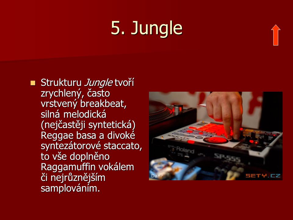 5. Jungle
