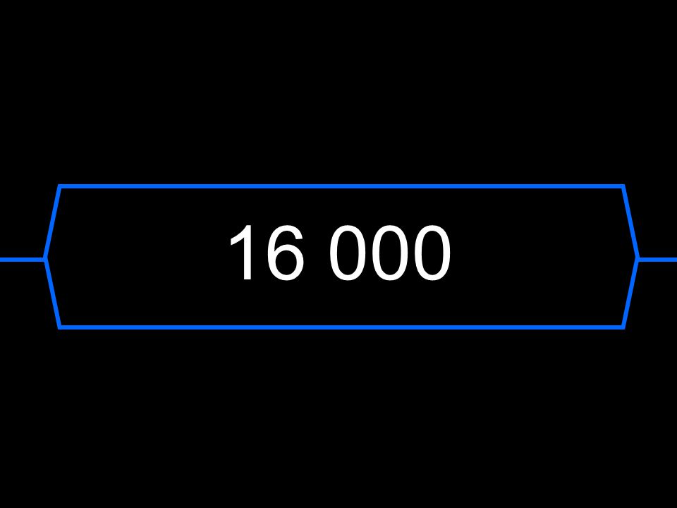 16 000