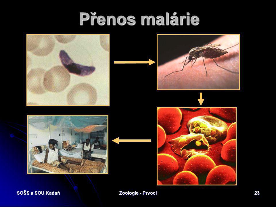 Přenos malárie SOŠS a SOU Kadaň Zoologie - Prvoci