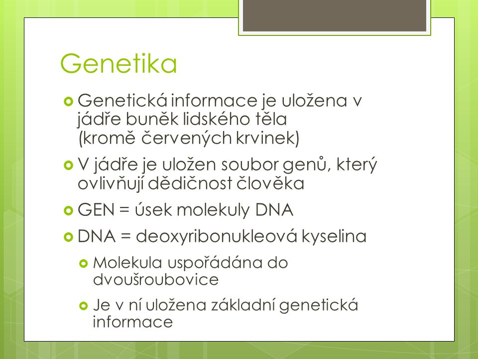 Genetika Genetická informace je uložena v jádře buněk lidského těla (kromě červených krvinek)