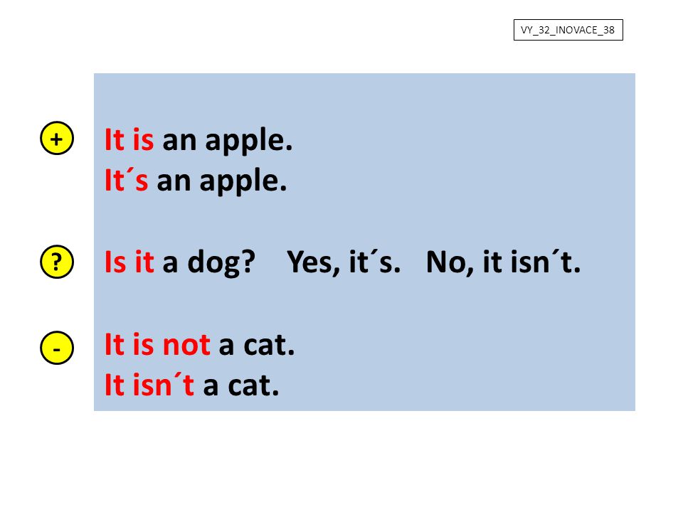 Is it a dog Yes, it´s. No, it isn´t. It is not a cat. It isn´t a cat.