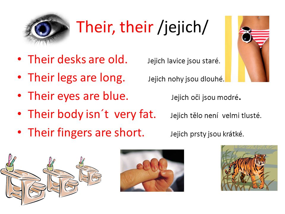 Their, their /jejich/ Their desks are old. Jejich lavice jsou staré.