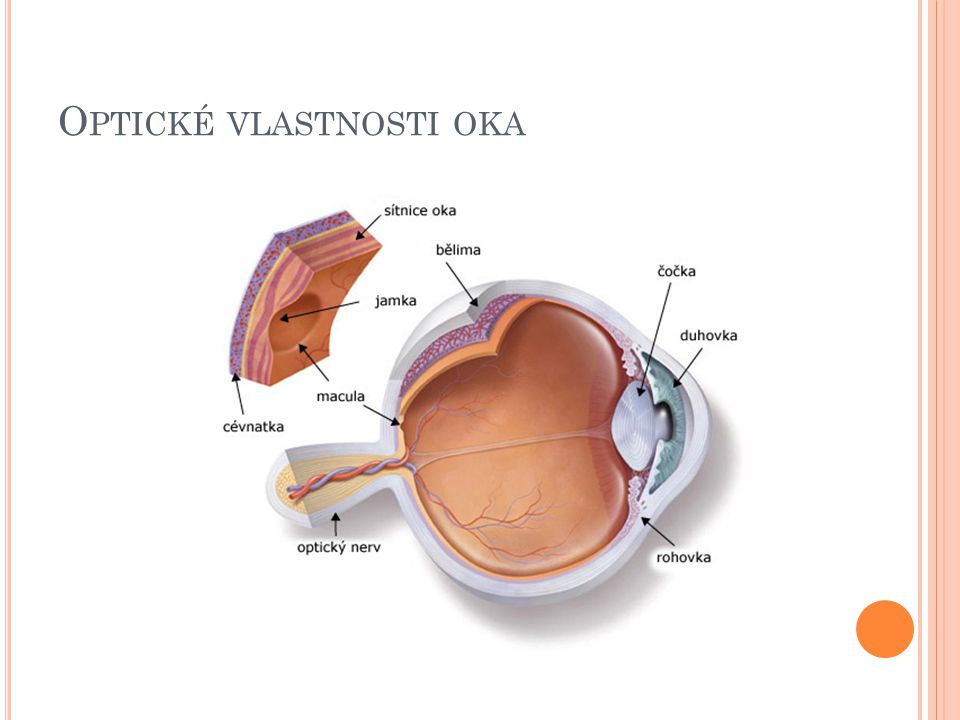 Optické vlastnosti oka
