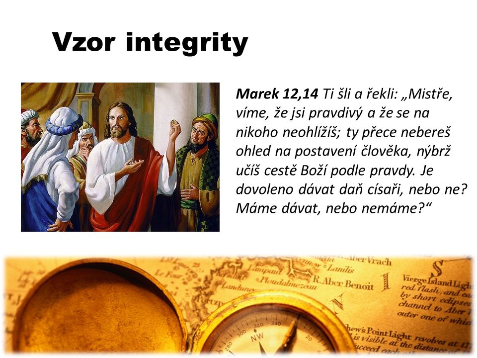 Vzor integrity