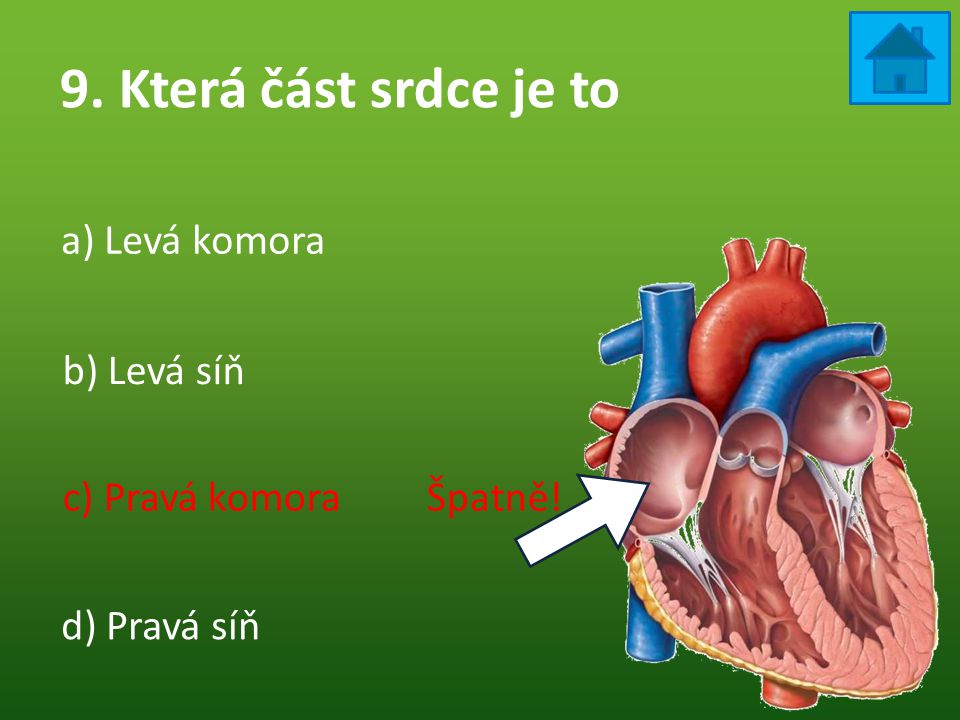 9. Která část srdce je to a) Levá komora b) Levá síň