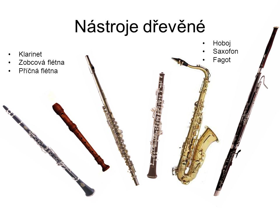 Nástroje dřevěné Hoboj Saxofon Fagot Klarinet Zobcová flétna