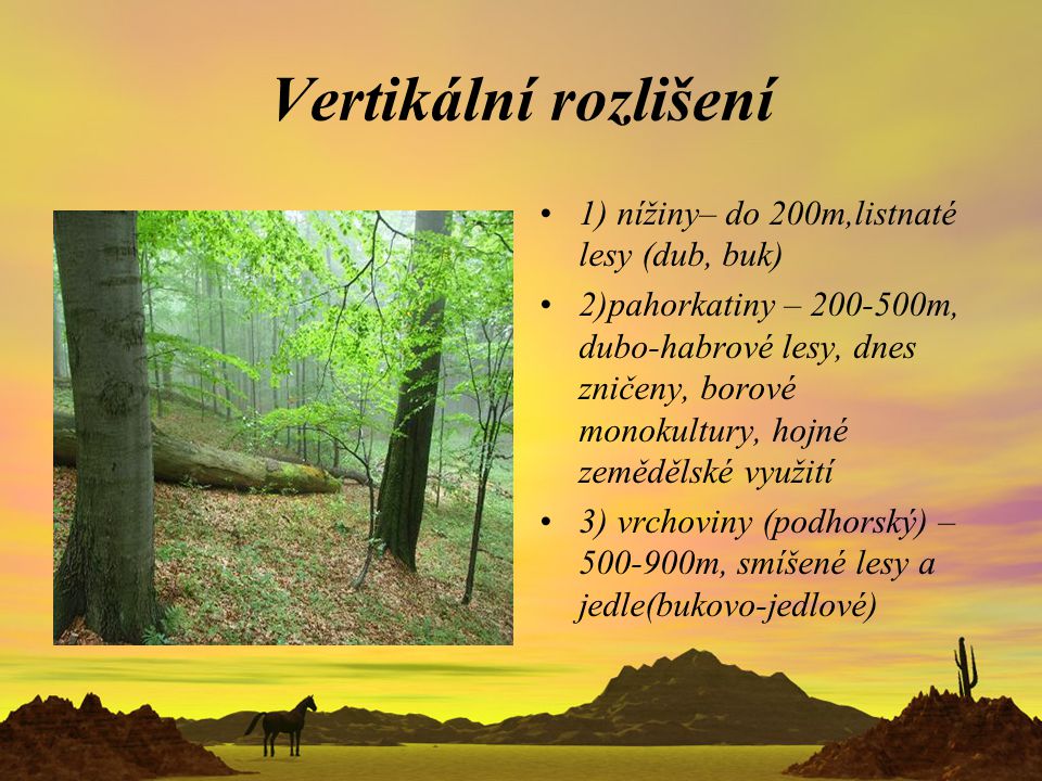Vertikální rozlišení 1) nížiny– do 200m,listnaté lesy (dub, buk)
