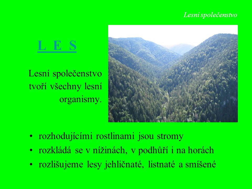 L E S Lesní společenstvo tvoří všechny lesní organismy.