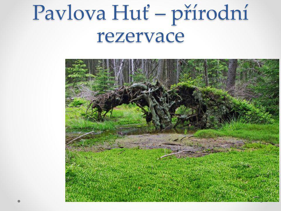 Pavlova Huť – přírodní rezervace