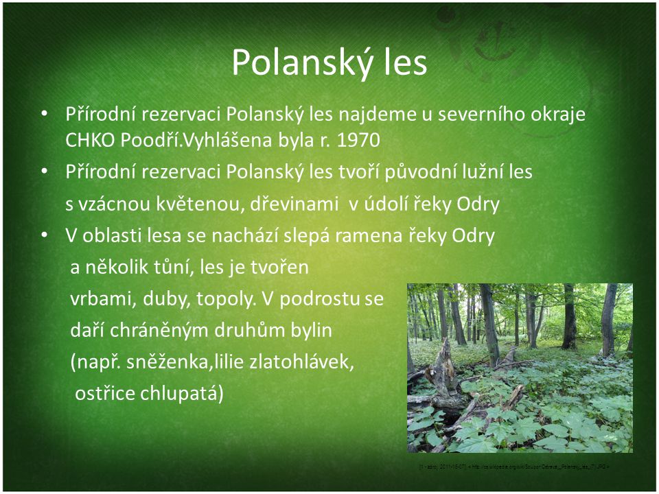 Polanský les Přírodní rezervaci Polanský les najdeme u severního okraje CHKO Poodří.Vyhlášena byla r
