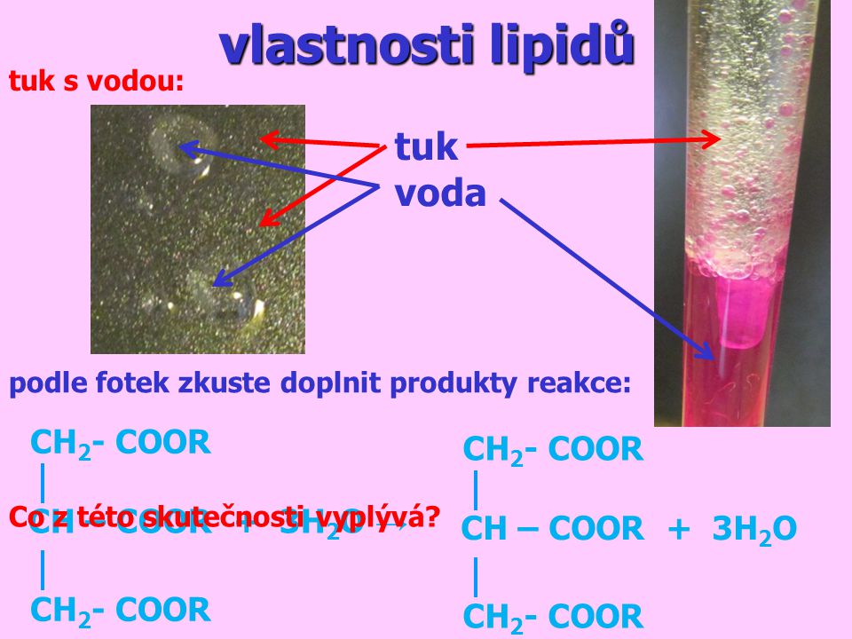 vlastnosti lipidů tuk voda CH2- COOR CH2- COOR tuk s vodou: