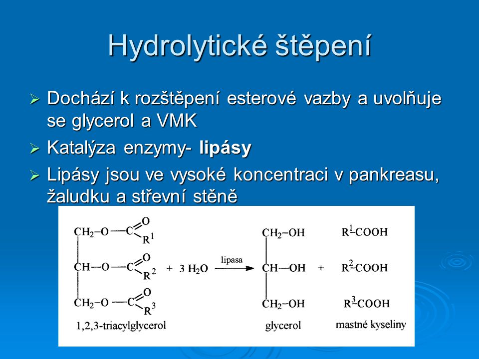 Hydrolytické štěpení Dochází k rozštěpení esterové vazby a uvolňuje se glycerol a VMK. Katalýza enzymy- lipásy.
