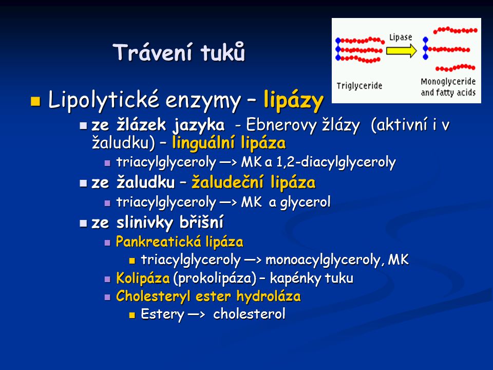 Lipolytické enzymy – lipázy