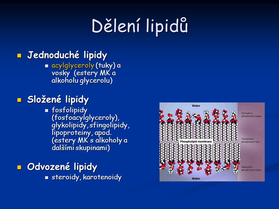 Dělení lipidů Jednoduché lipidy Složené lipidy Odvozené lipidy