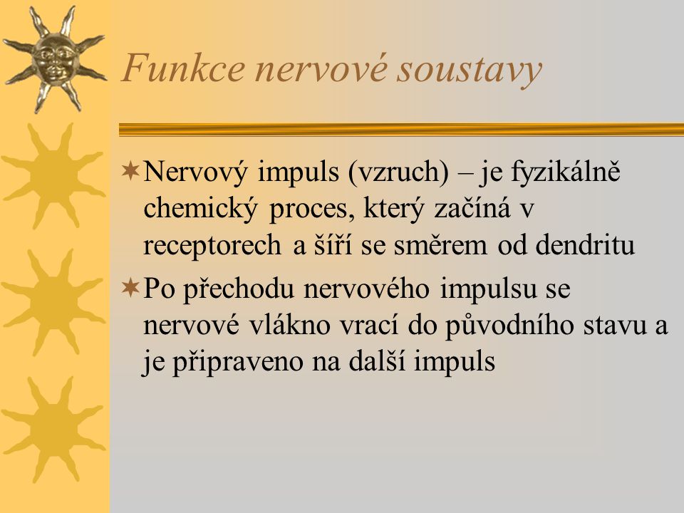 Funkce nervové soustavy