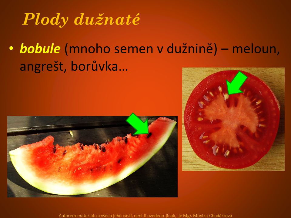Plody dužnaté bobule (mnoho semen v dužnině) – meloun, angrešt, borůvka…