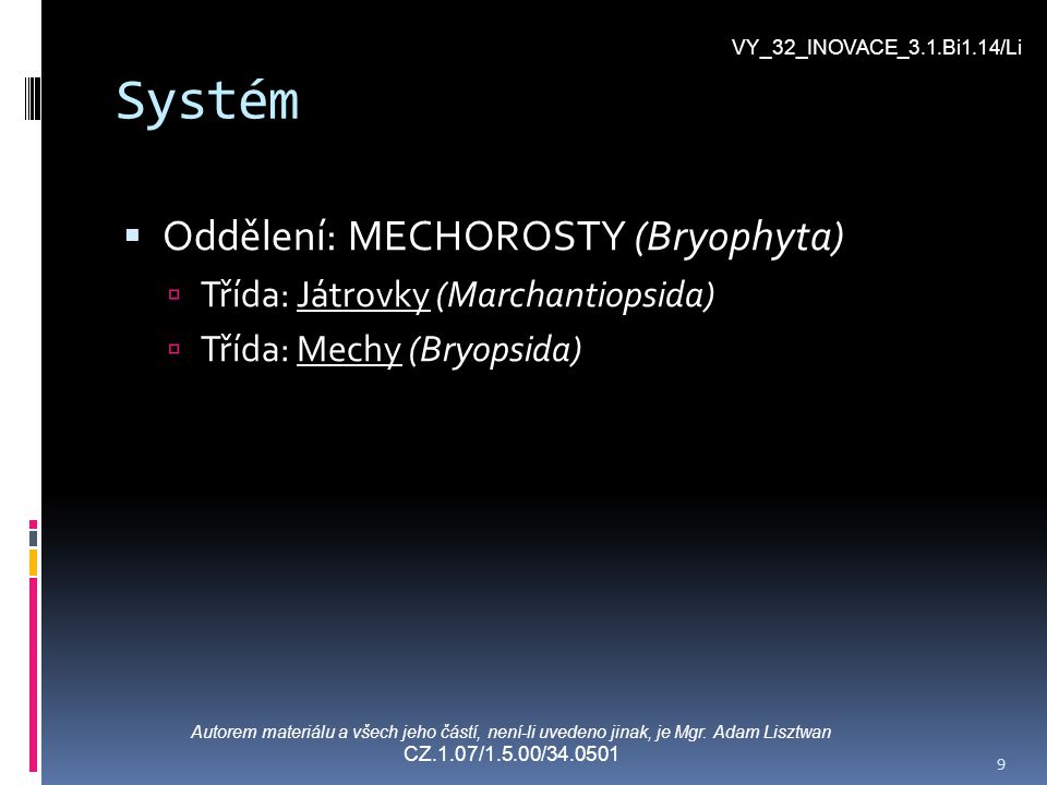 Systém Oddělení: MECHOROSTY (Bryophyta)