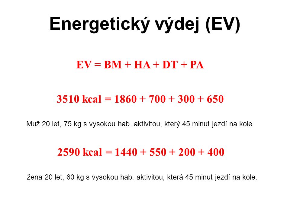 Energetický výdej (EV)