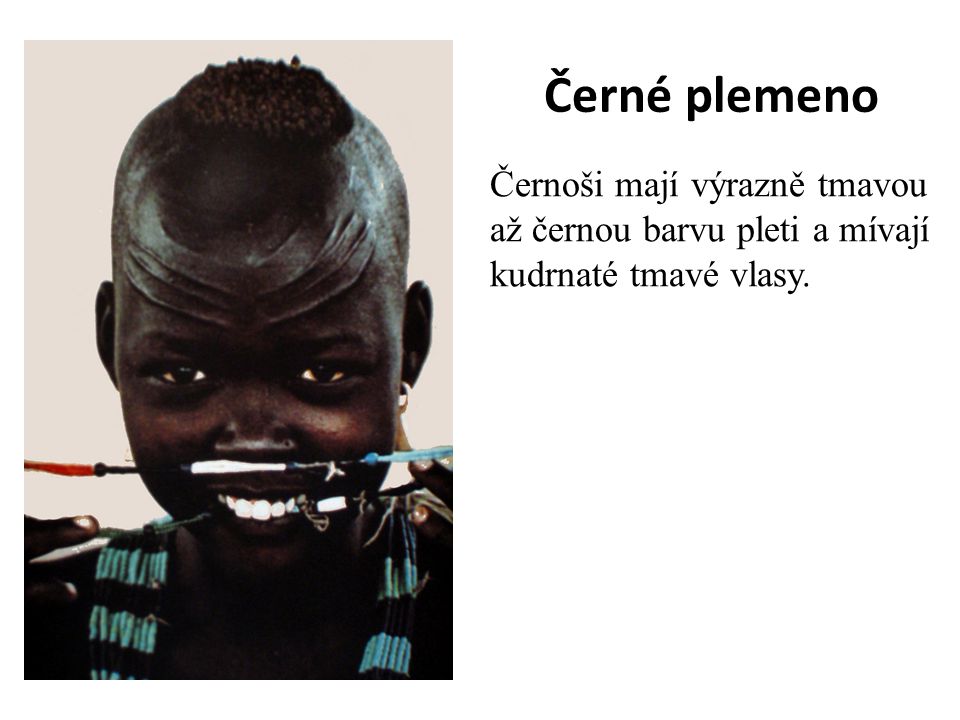 Černé plemeno Černoši mají výrazně tmavou až černou barvu pleti a mívají kudrnaté tmavé vlasy.