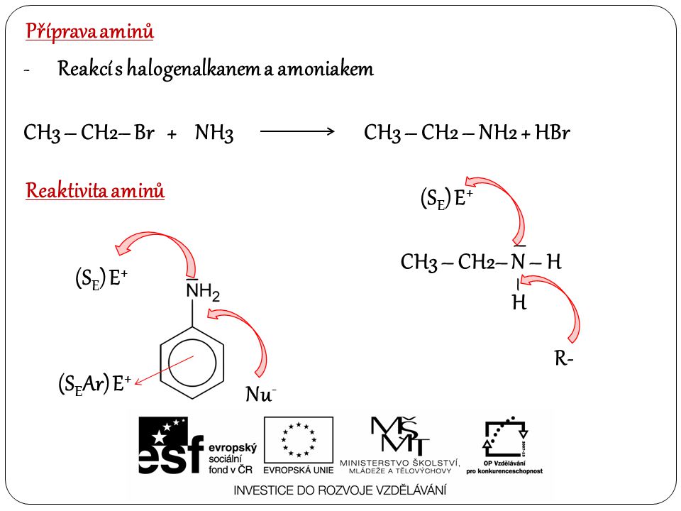 Příprava aminů Reakcí s halogenalkanem a amoniakem. CH3 – CH2– Br + NH3 CH3 – CH2 – NH2 + HBr.