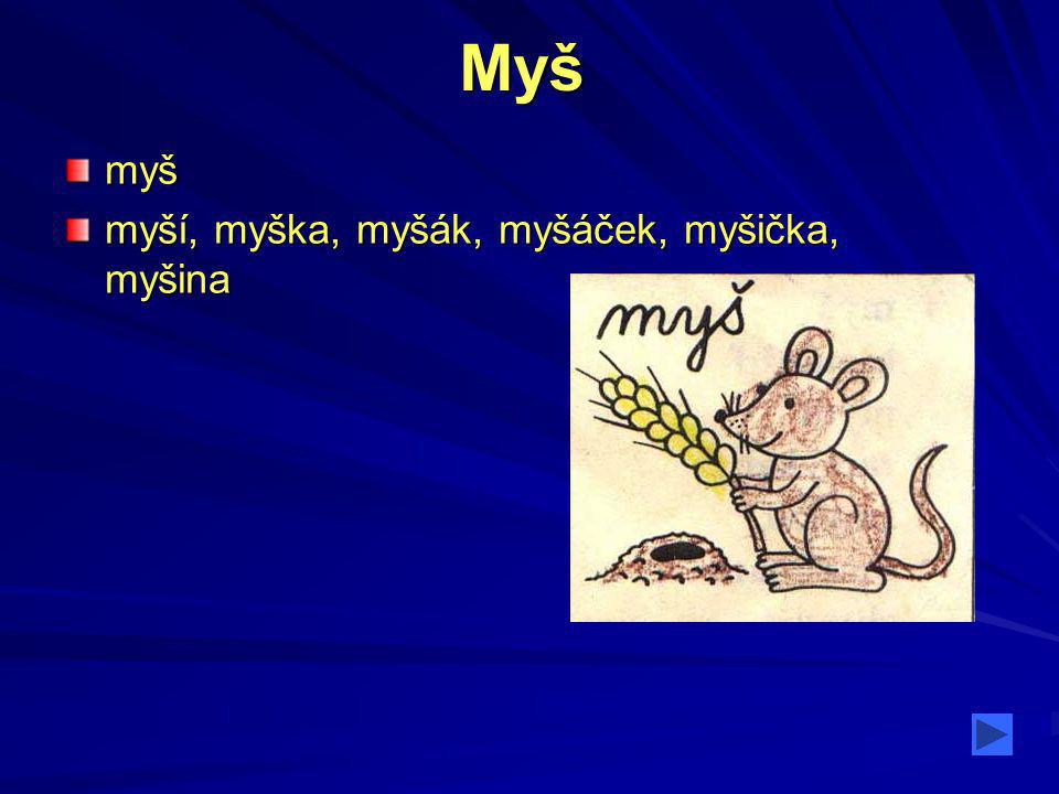 Myš myš myší, myška, myšák, myšáček, myšička, myšina