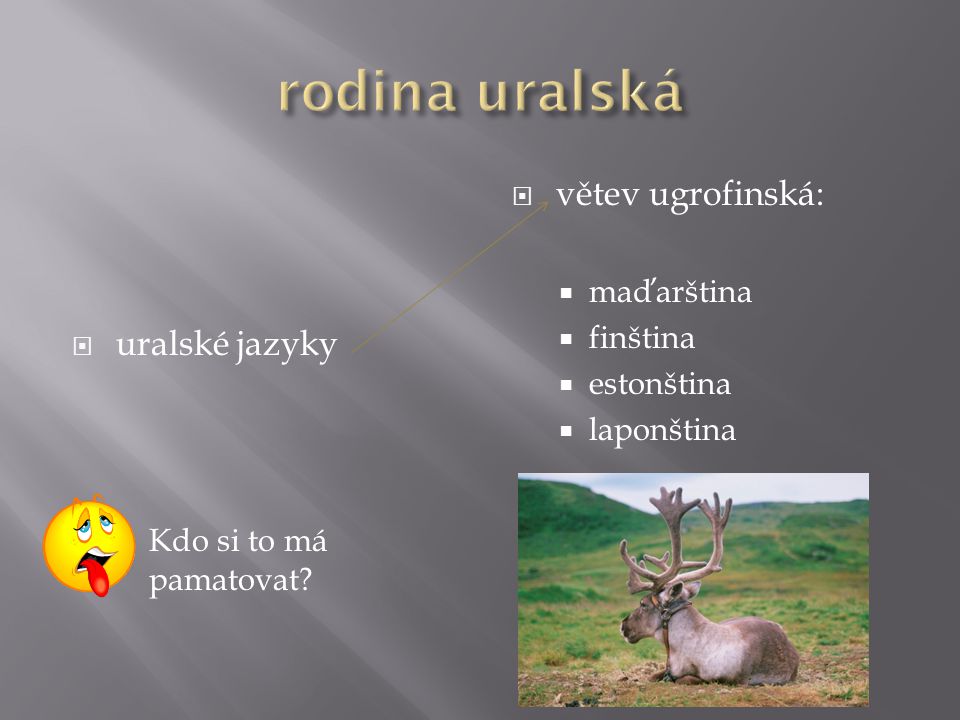 rodina uralská větev ugrofinská: uralské jazyky maďarština finština