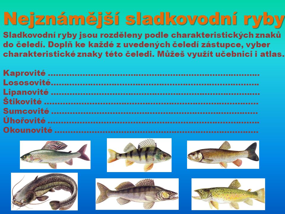 Nejznámější sladkovodní ryby