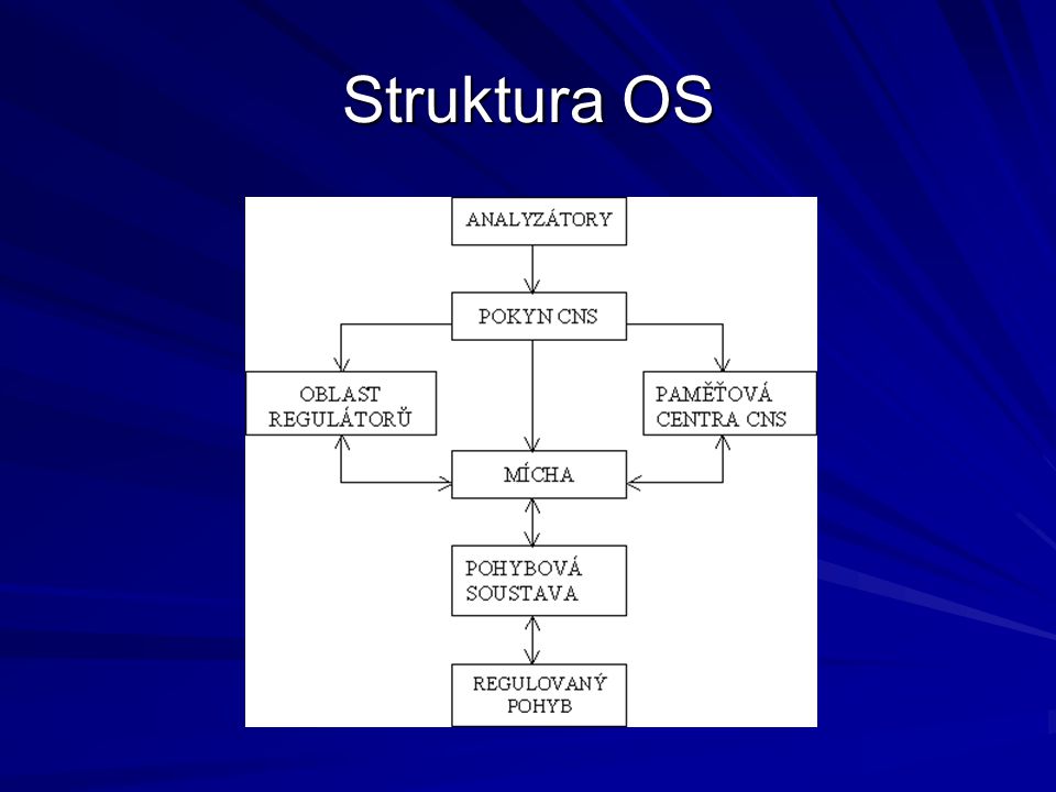 Struktura OS