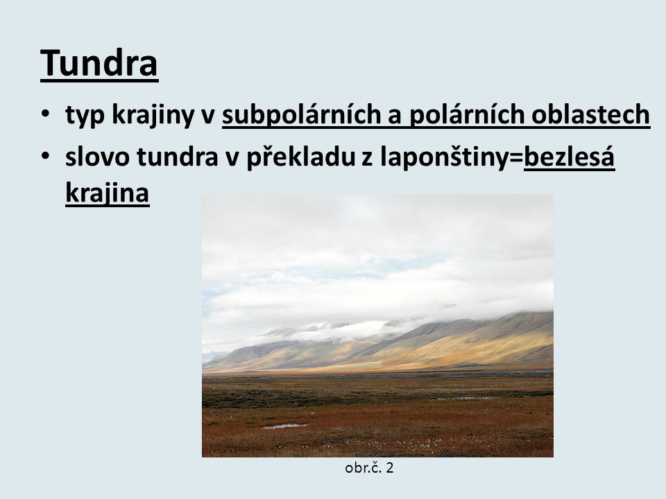 Tundra typ krajiny v subpolárních a polárních oblastech