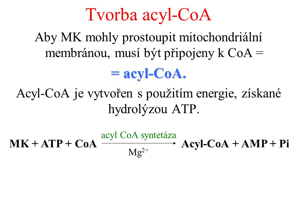 Acyl-CoA je vytvořen s použitím energie, získané hydrolýzou ATP.