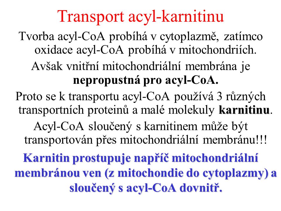 Transport acyl-karnitinu