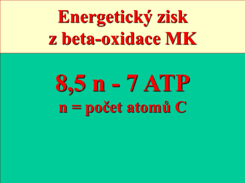 Energetický zisk z beta-oxidace MK