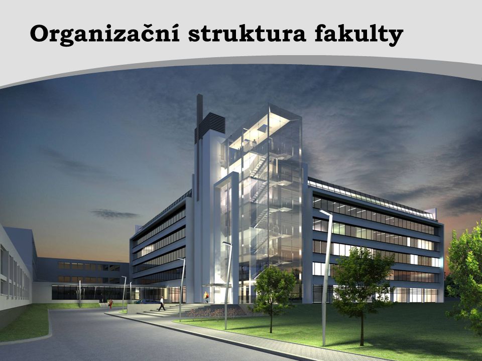 Organizační struktura fakulty