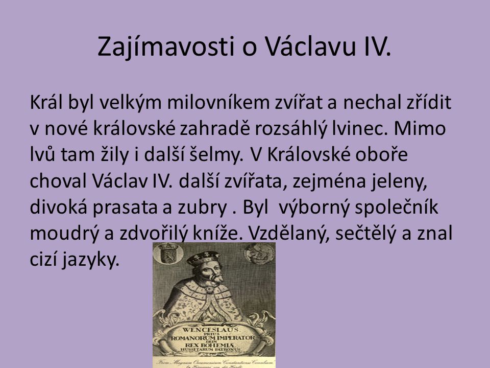 Zajímavosti o Václavu IV.