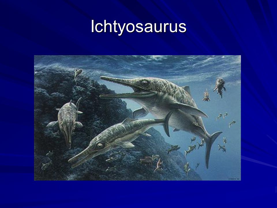 Ichtyosaurus
