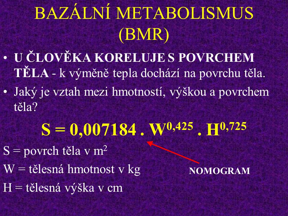 BAZÁLNÍ METABOLISMUS (BMR)