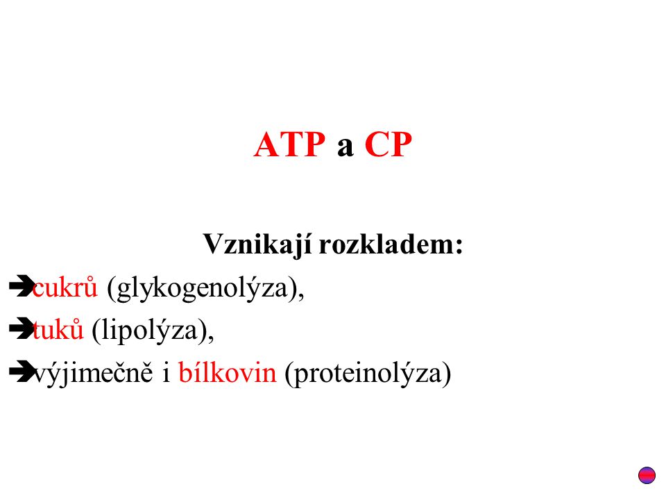 ATP a CP Vznikají rozkladem: cukrů (glykogenolýza), tuků (lipolýza),