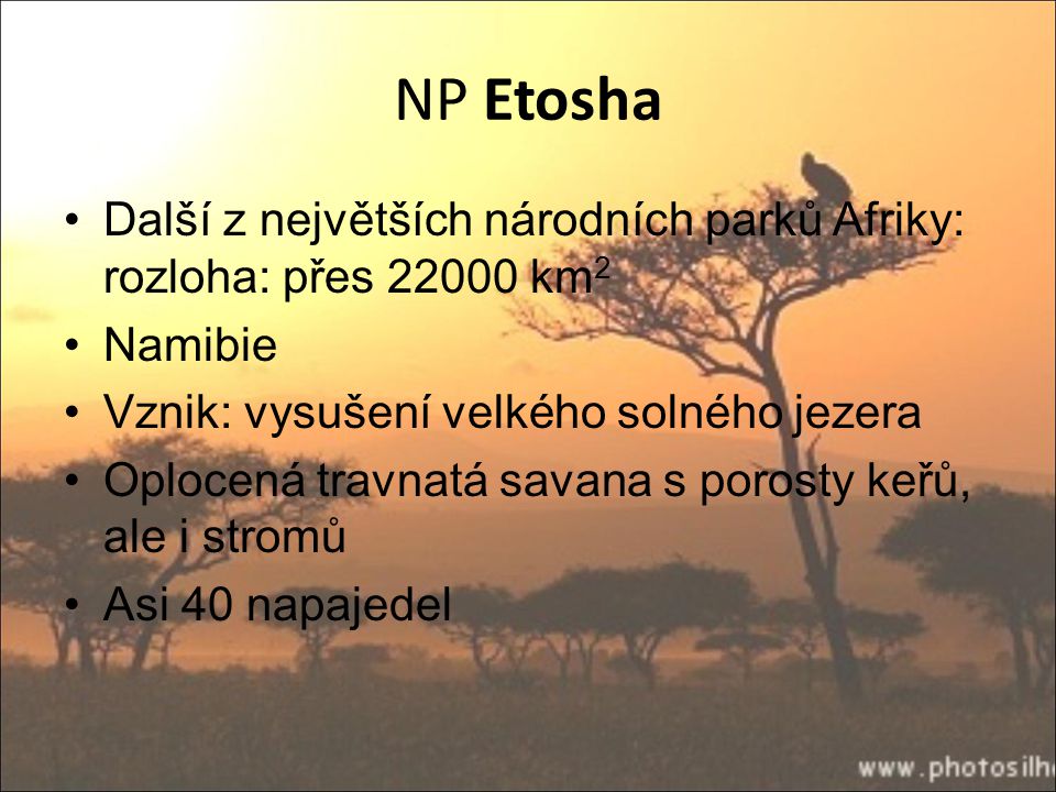 NP Etosha Další z největších národních parků Afriky: rozloha: přes km2. Namibie. Vznik: vysušení velkého solného jezera.
